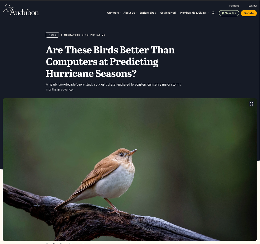 News headline that says, 'Are these birds better than computers at predicting hurricane seasons?'.